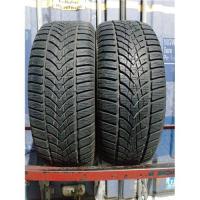 Шины бу 195/55 R15 Dunlop SP Winter Sport 4D с износом 30%