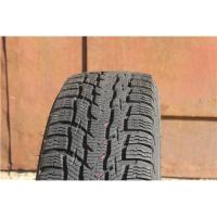 Шина бу 225/55 R17 Nokian WR C3 с износом 15%
