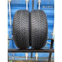 Шины бу 225/55 R19 Nokian WR SUV 4 с износом 30%